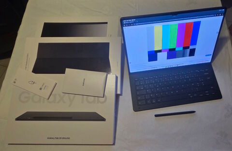 Samsung Tab S9 Ultra 1To 5G 1050 Presles (95)