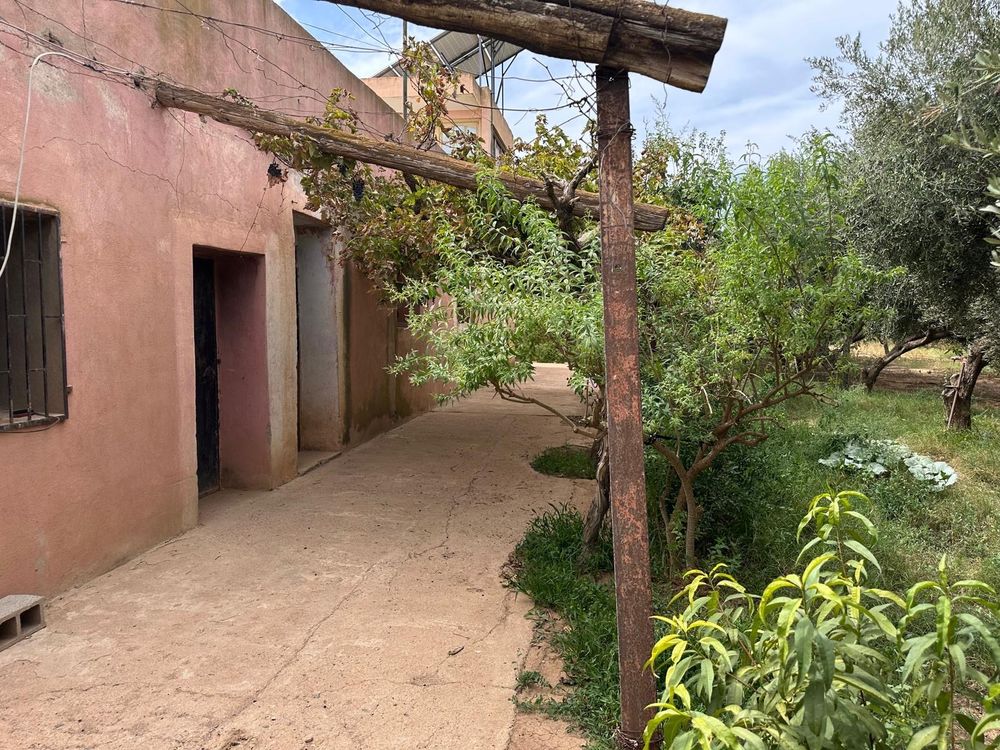 Vente Terrain Ferme avec terrain Oujda, maroc (Maroc)