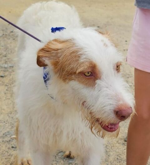 KAIRI 300 27620 Gasny