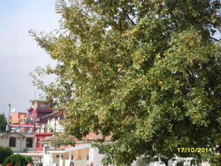  Maison � vendre 8 pi�ces 145 m�