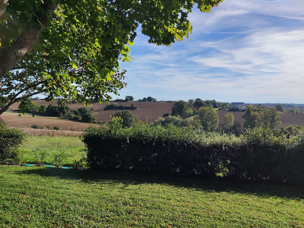 Location Maison maison non meublée Seysses-savès