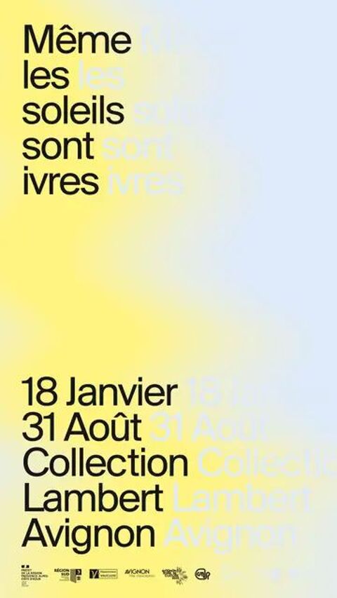 2 billets pour la Collection Lambert à Avignon 2 Avignon (84)