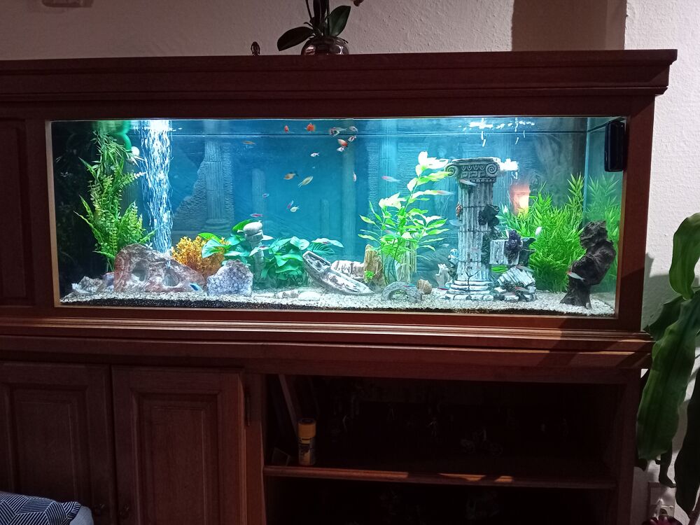 Aquarium Décoration