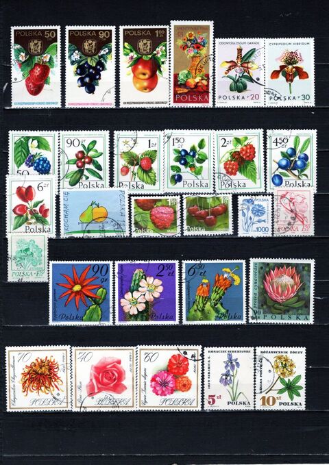 lot de 26 timbres de POLOGNE sur la FLORE et les FRUITS 2 Les Églisottes-et-Chalaures (33)