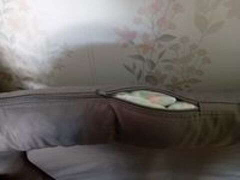   COUSSIN POUR CHIEN 