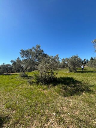  Terrain à vendre 2880 m² Maussane-les-alpilles