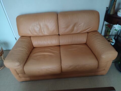 Salon en cuir  100 Cergy (95)