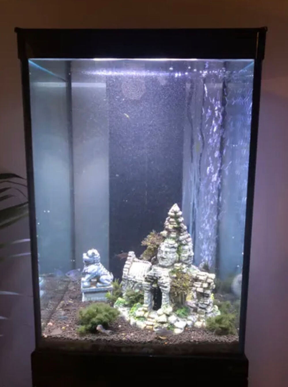 Aquarium 96 litres et meuble Truffaut ! Meubles