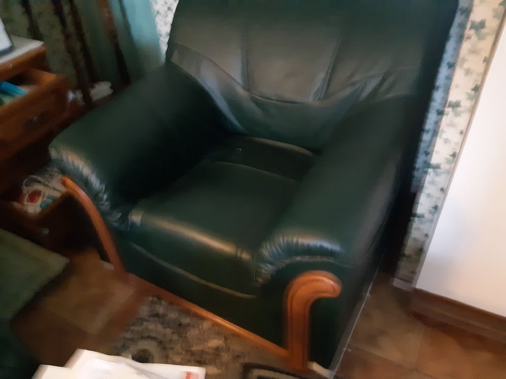 fauteuil en bultex vert fonc&eacute; r&eacute;f 90 Meubles