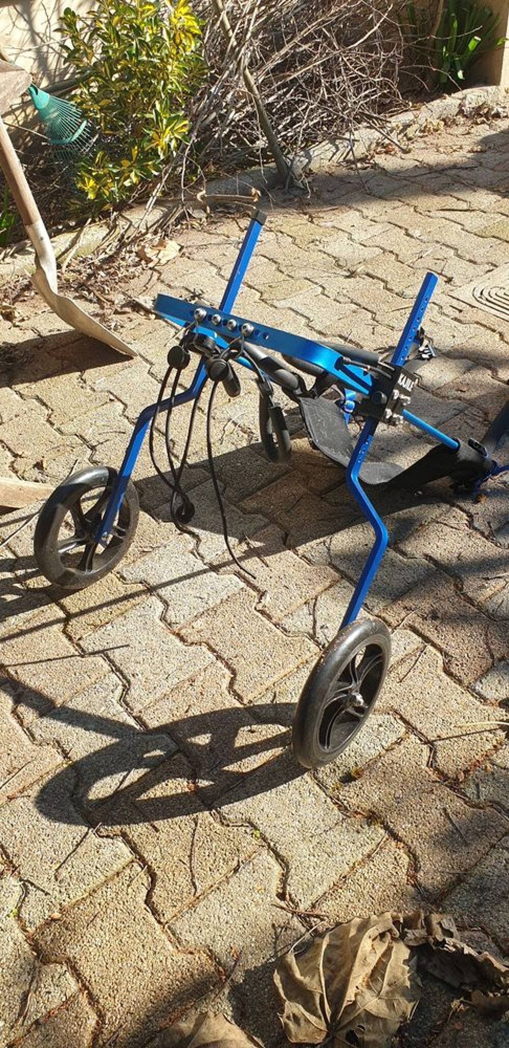   Chariot pour chien handicap  