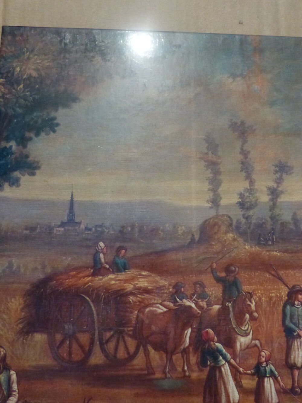 LA VIE DES PAYSANS DU LEON 1800 - 1950 Livres et BD