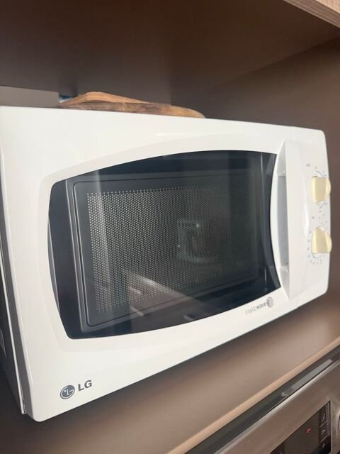 micro-ondes 12 Cormoz (01)