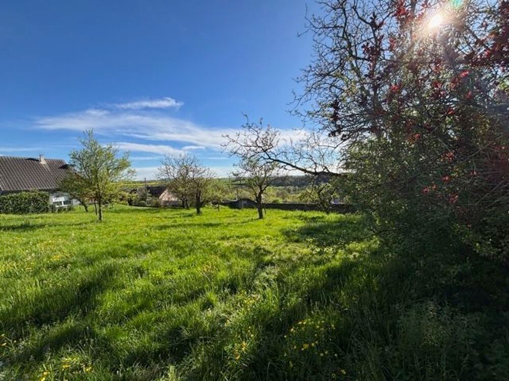 Vente Terrain Terrain à bâtir 1 478 m² ? Frolois (54160) ? Vue dégagée Frolois