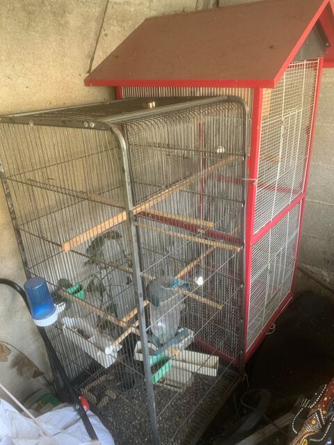 Cage oiseaux 70e 70 94190 Villeneuve-saint-georges