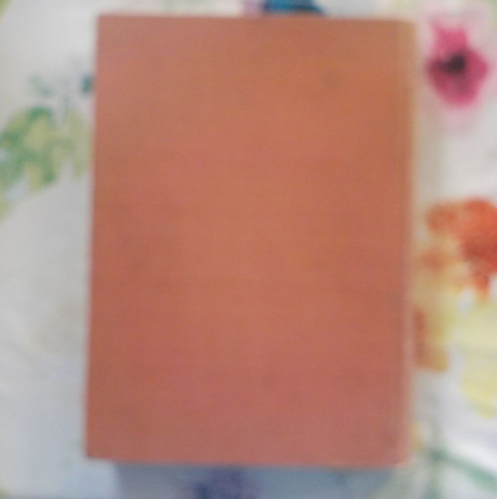 LE PETIT CHASSEUR DE PANTHERES N&deg;1 &agrave; 50 1928 ARNOULD GALOPIN Livres et BD