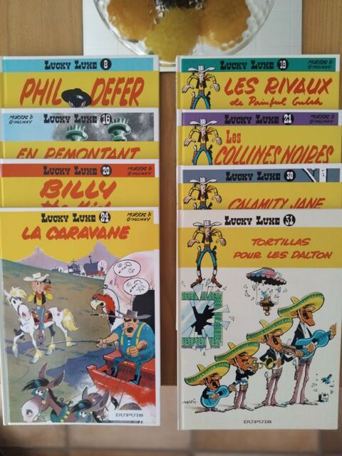 Lot de 8 albums de la série LUCKY LUKE Firminy (42)