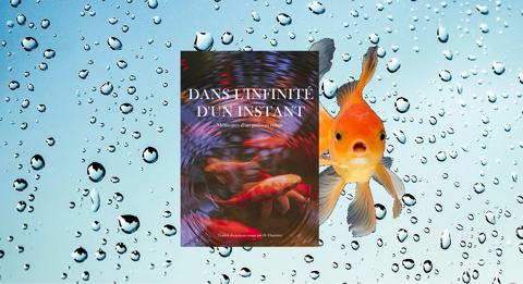 Dans l'infinité d'un instant 4 Lyon 8 (69)