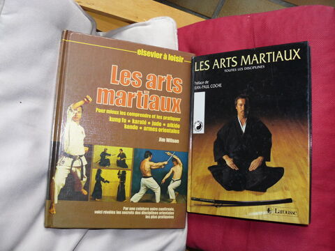 lot 2 livres arts martiaux g�n�raliste ; pr�sentation des di 15 Marseille 8 (13)