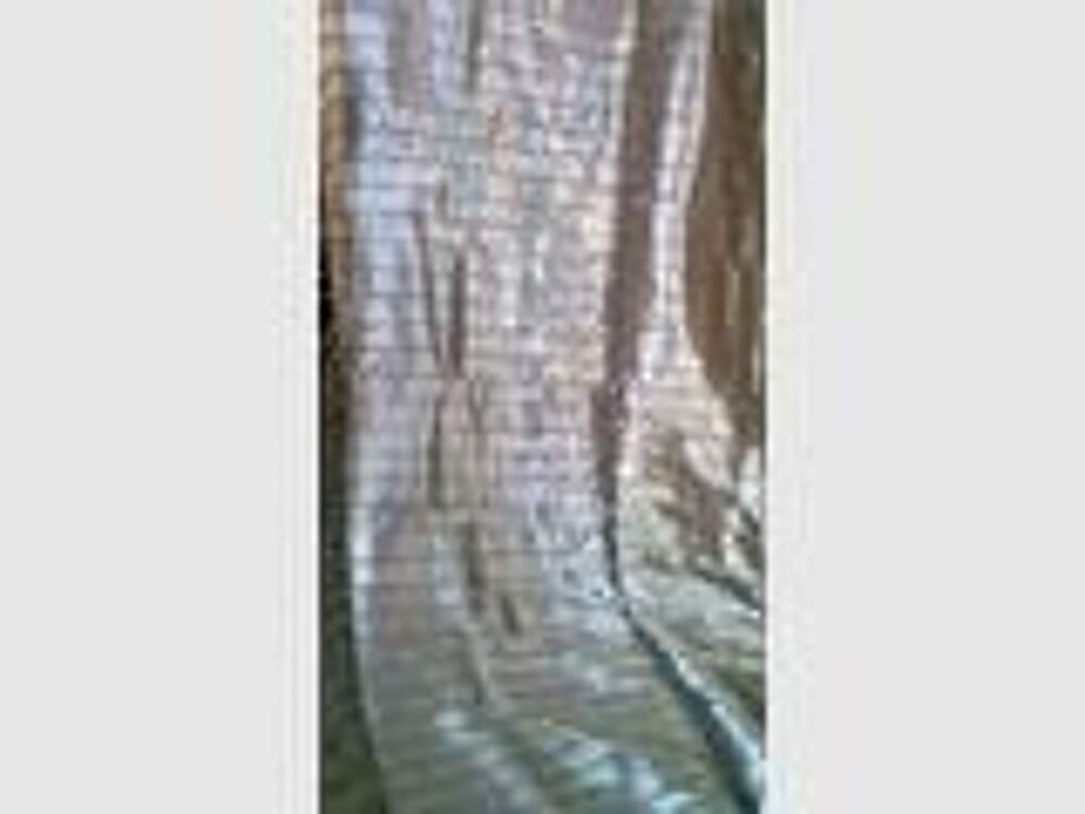Rideaux Argent&eacute; Neufs (2 Panneaux 110x280) Décoration