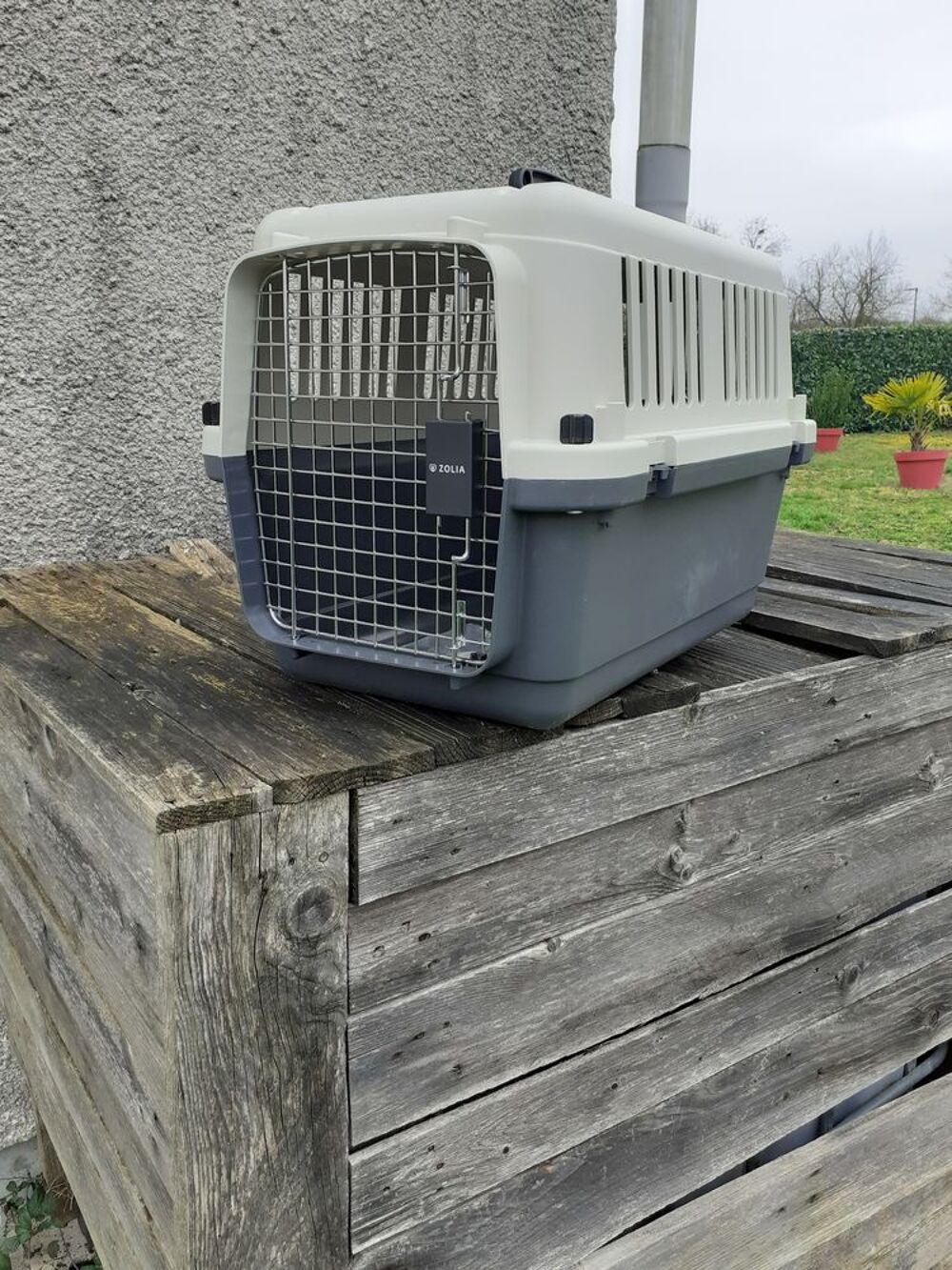   Cage de transport  grand chat ou petit chien 