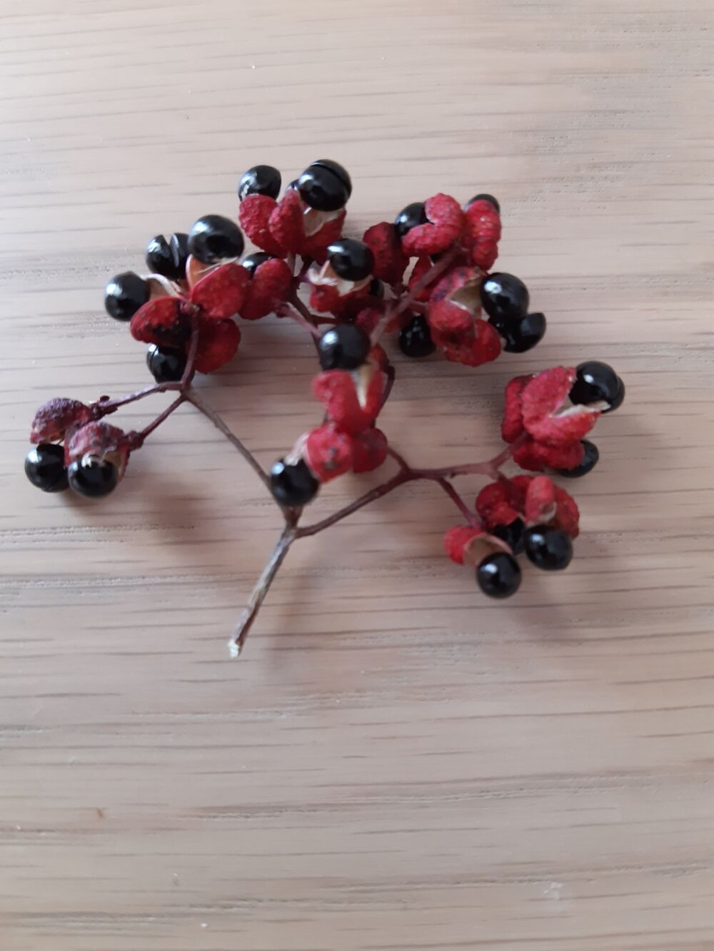 POIVRE DE SICHUAN Cuisine