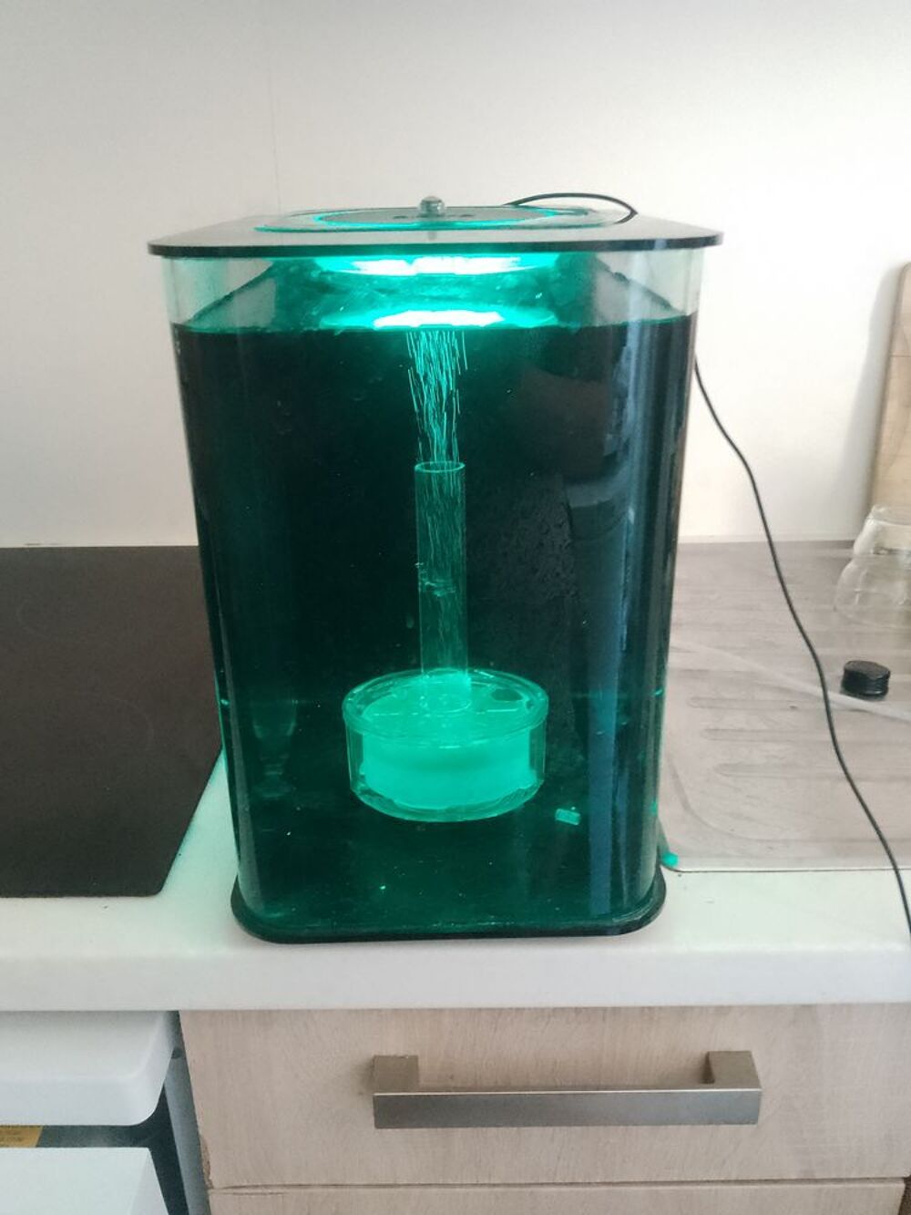 aquarium 20 l Décoration