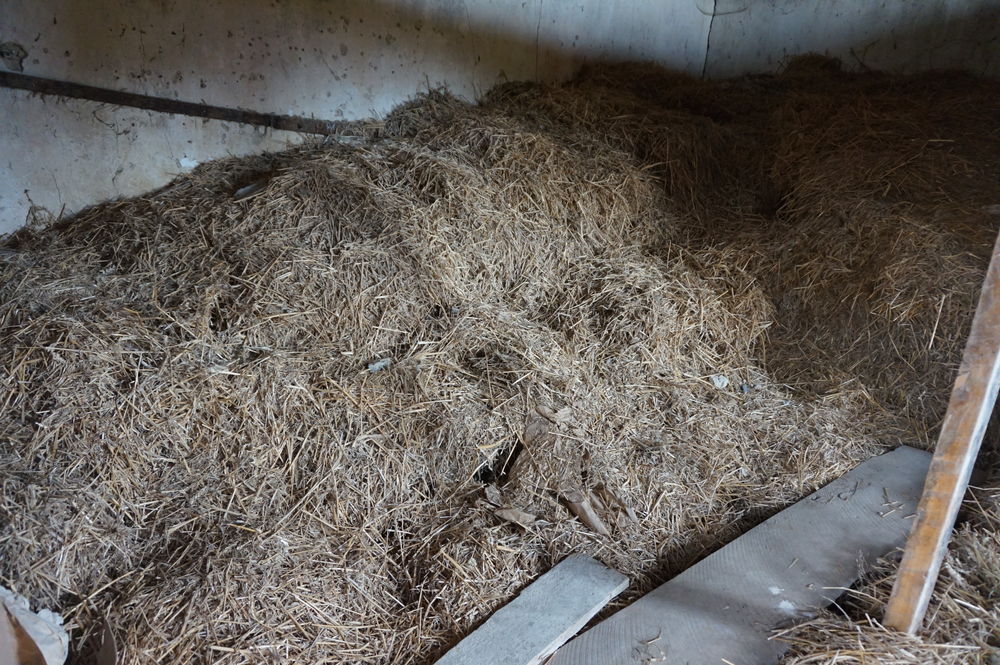 paille pour litii&egrave;res d'animaux Bricolage