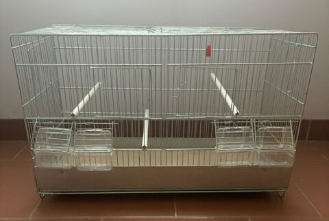 Cage galva avec moineaux du Japon 20 24660 Notre-dame-de-sanilhac