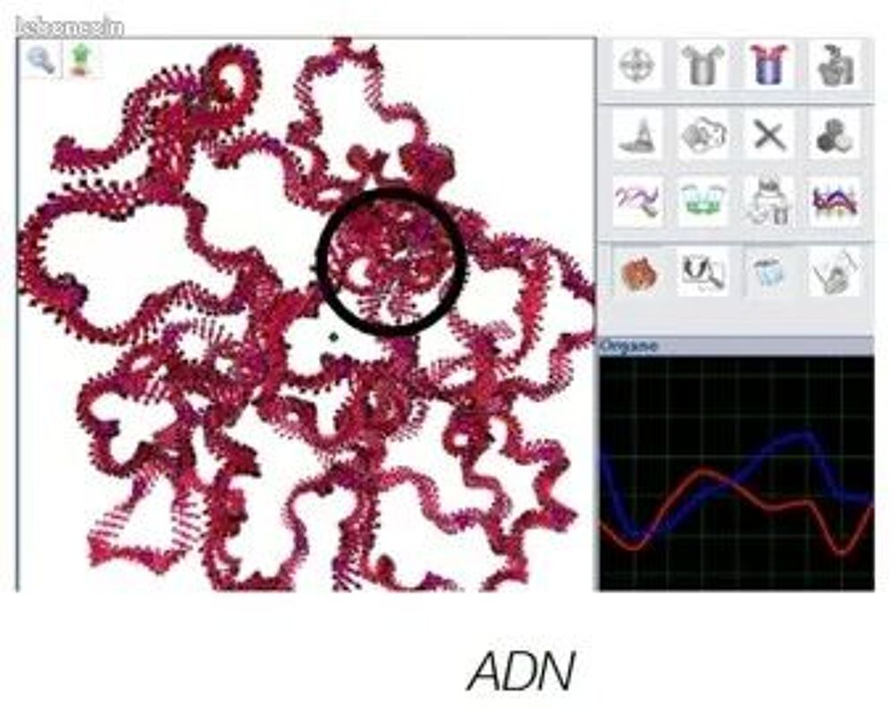 Appareil de bioresonnance Biospect essentiel Matériel informatique