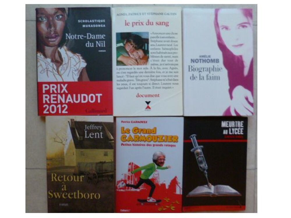 lot 29 - beaux romans ....pour cadeau - zoe Livres et BD