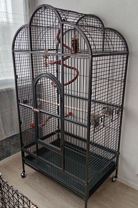 Cage Perroquets 250 29200 Brest