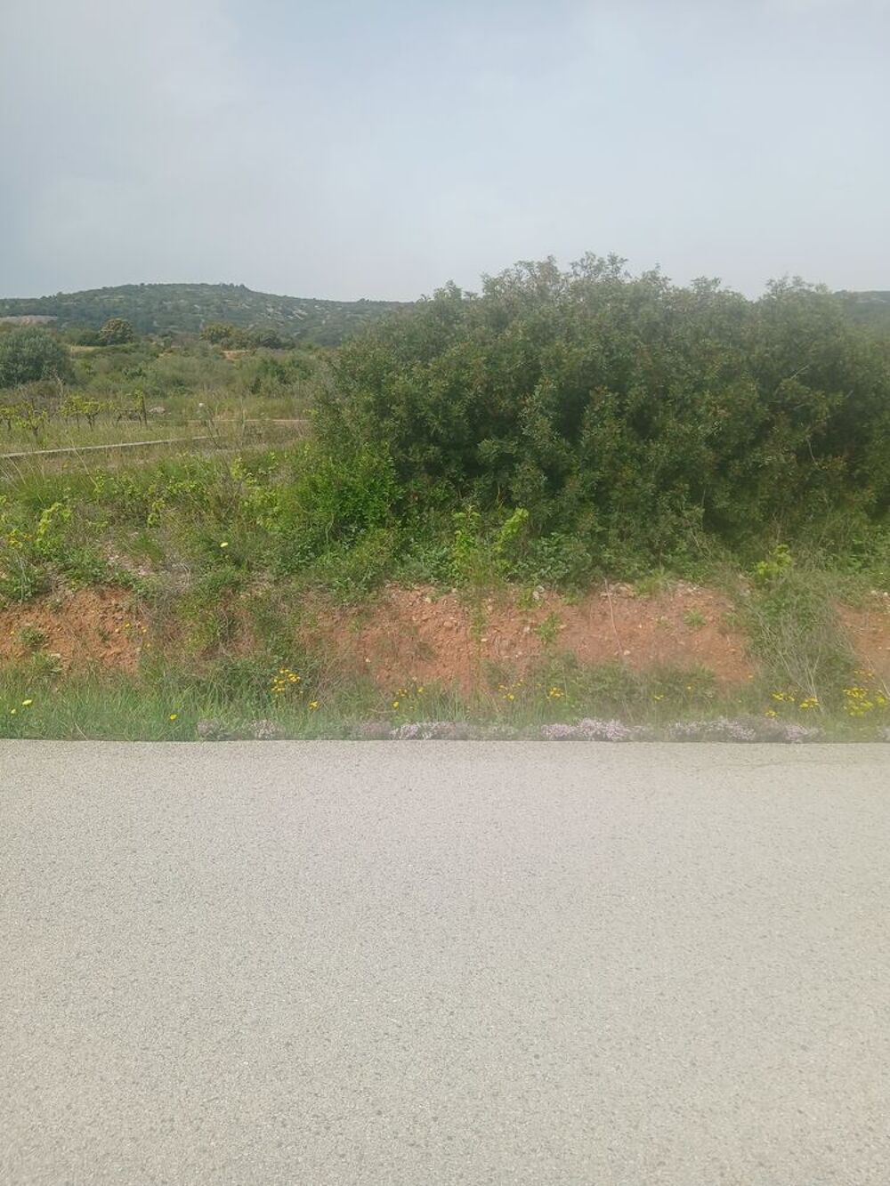 Terrain agricole Jardin