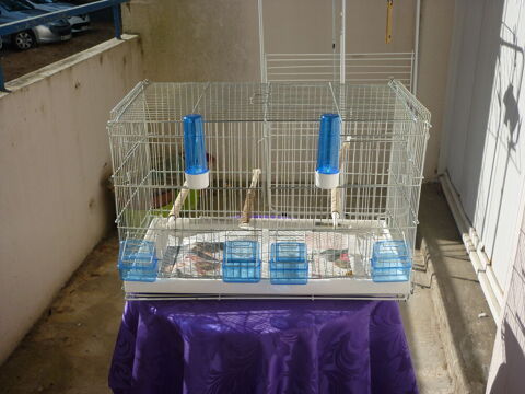 Cage &agrave; oiseaux 40 29900 Concarneau