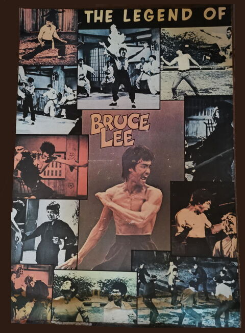 Poster Bruce Lee 10 Saint-Mdard-en-Jalles (33)