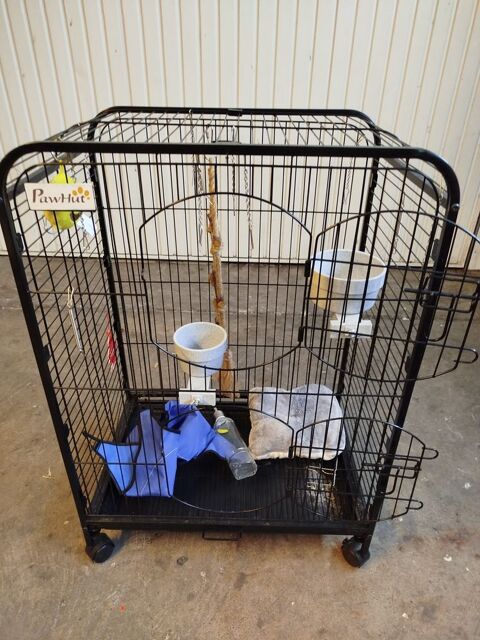 cage rongeur en très bon état 50 74500 Publier