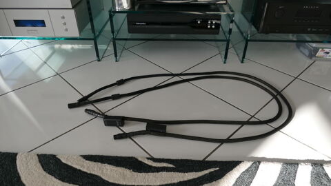 C�bles XLR Haut de gamme Esprit Eterna 2x1m80 1100 Ludon-M�doc (33)