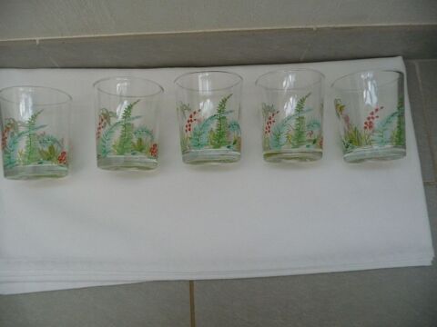 5 jolis verres décor motifs floraux - Neufs Celles-sur-Belle (79)
