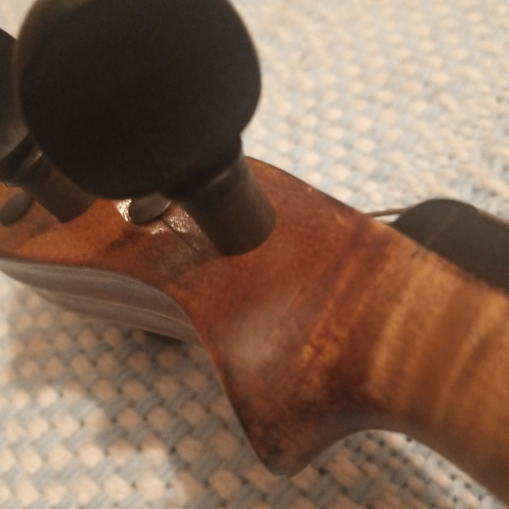 Violon Ancien Instruments de musique