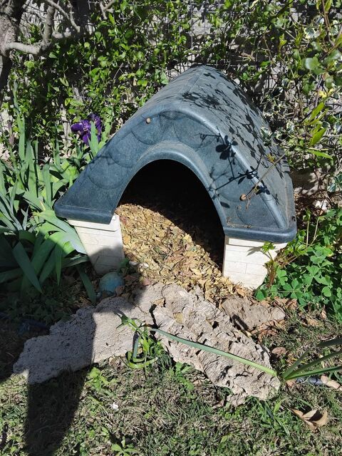 Description
PERPIGNAN NICHE EN PLASTIQUE POUR CHIEN 25 66000 Perpignan