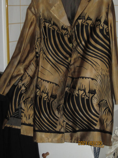 veste habill�e mordor�e avec motifs noirs 15 Saint-Alban-de-Roche (38)