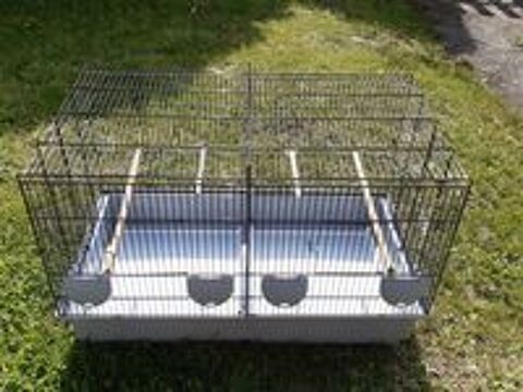   cages oiseaux 