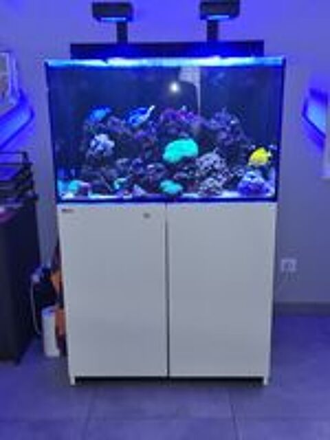   aquarium marin redsea max e 260 