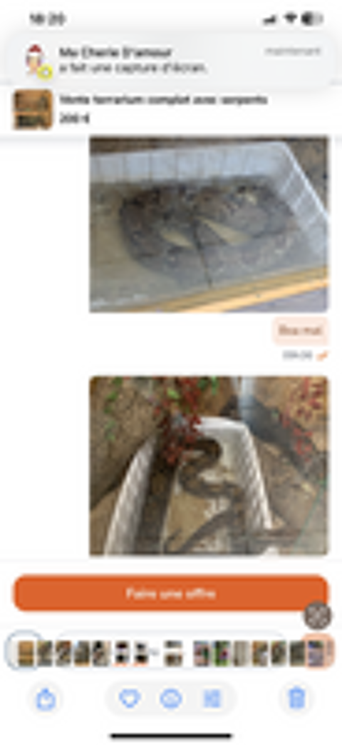   Terrariums  