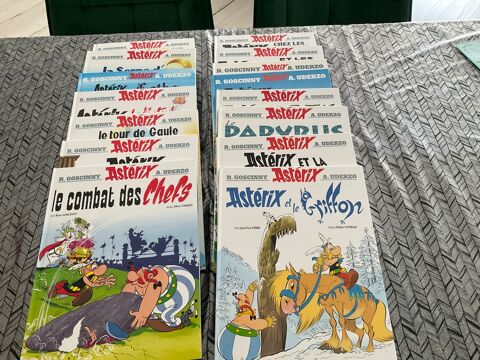 Astérix BD x 15 Passins (38)