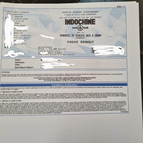 Concert indochine Strasbourg 55 Plumergat (56)
