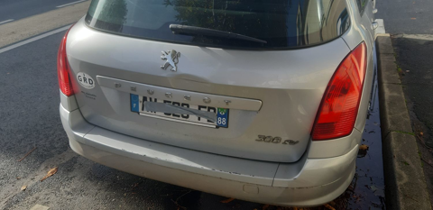 Peugeot 308 sw 1.6 HDi 90ch BLUE LION Business