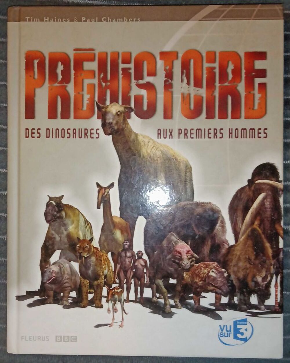 Dinosaures de collection + livre 