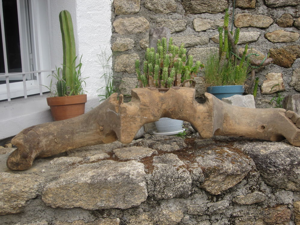  JOUGS &agrave; BOEUF Décoration