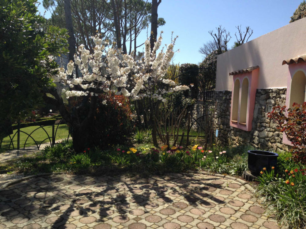  Villa Patio à Dieulefit (Piscine & Tennis) Rhône-Alpes, Dieulefit (26220)