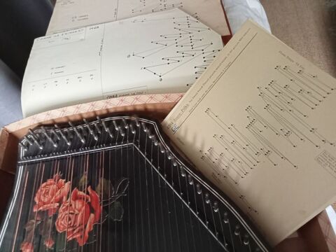 Cithare 100 Figeac (46)